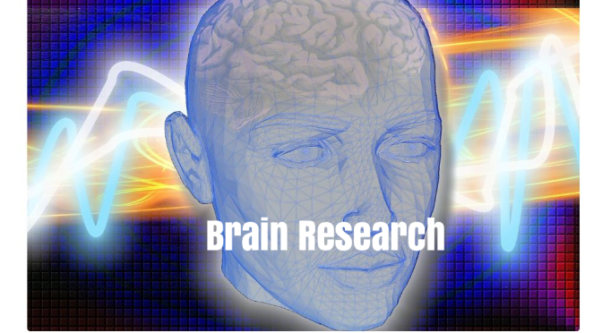 Brain Research: We Make Decisions Based On Memories To Maximize Reward Received