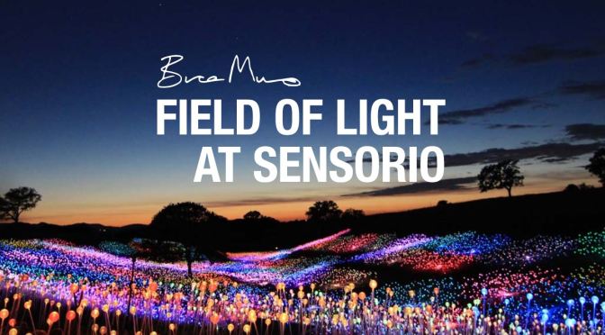 Outdoor Exhibitions: British Artist Bruce Munro’s “Field Of Light At Sensorio”, Paso Robles, CA