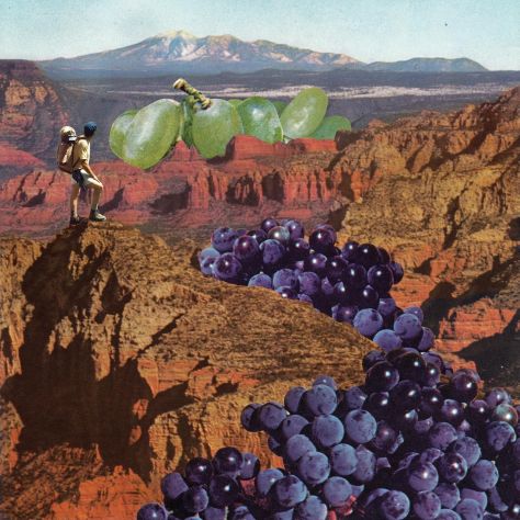 AMERICA THE BOUNTIFUL Regions once considered wine deserts are producing in-demand bottles as a new wave of winemakers boldly redraw the map of American wine regions. ILLUSTRATION BETH HOECKEL
