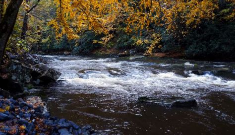 Autumn on the Nantahala River Nature Film by Mark Williams