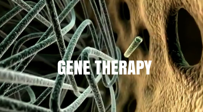 Medical Research: Single Gene Therapy Treatment For Multiple Age-Related Diseases Seen (Harvard)