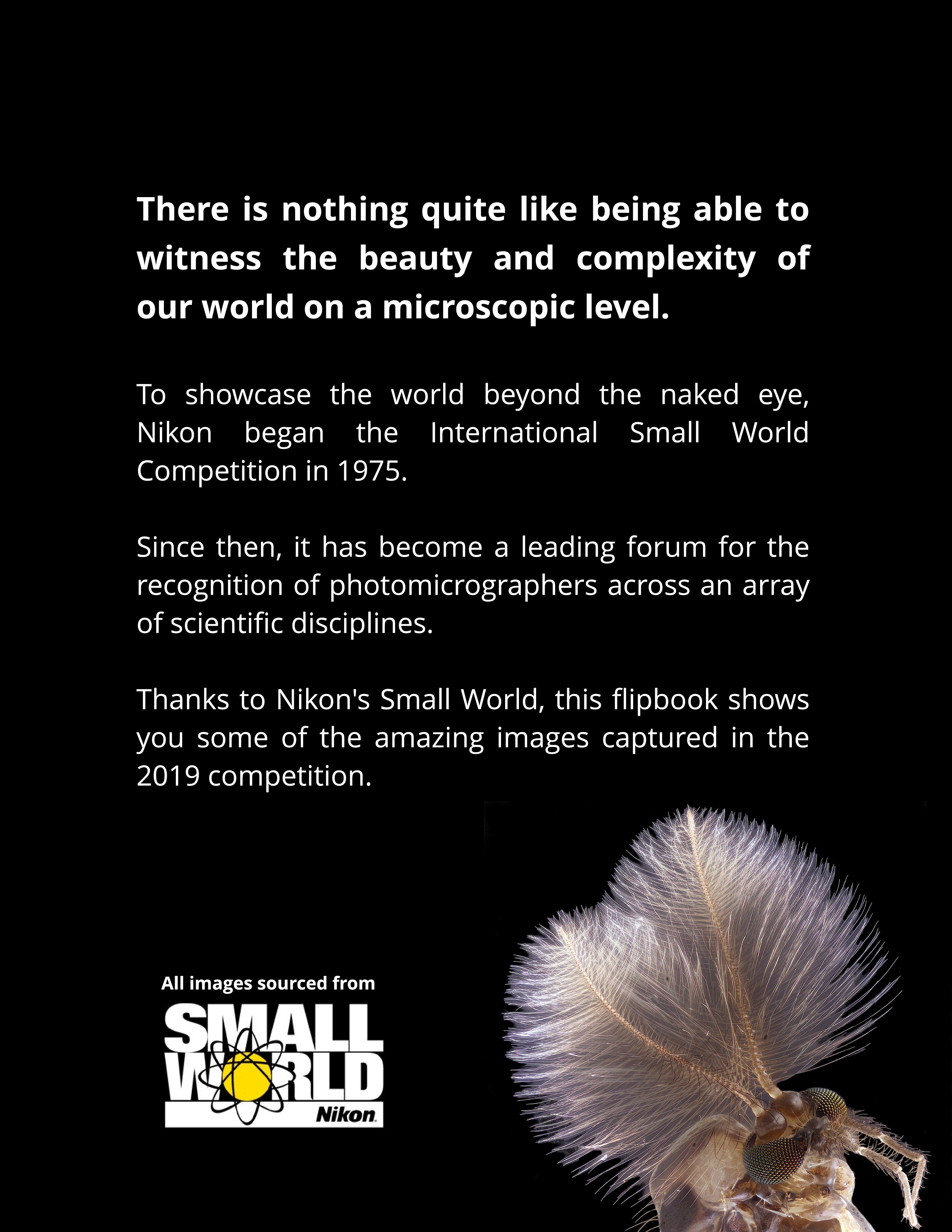 Nikon Small World Competition 2019 page-1