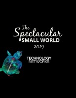 Nikon Small World Competition 2019 page-12