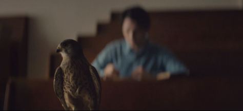 The Birdman Cinematic Poem Short Film by Volvo and Pulse Films Directed by Edward Lovelace and James Hall January 2020