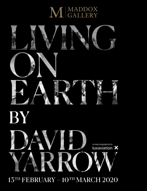Maddox Gallery Living On Earth by David Yarrow Catalog Cover