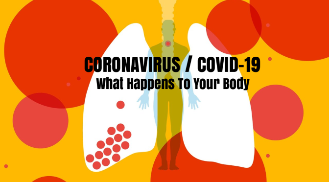 Coronavirus / Covid -19: “What Happens When It Enters Your Body” (Video)
