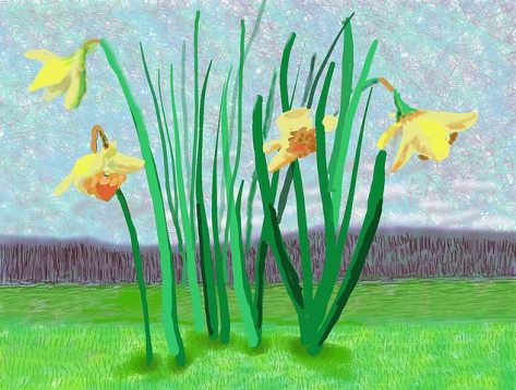 Do remember they can't cancel the spring David Hockney Daffodils March 18 2020