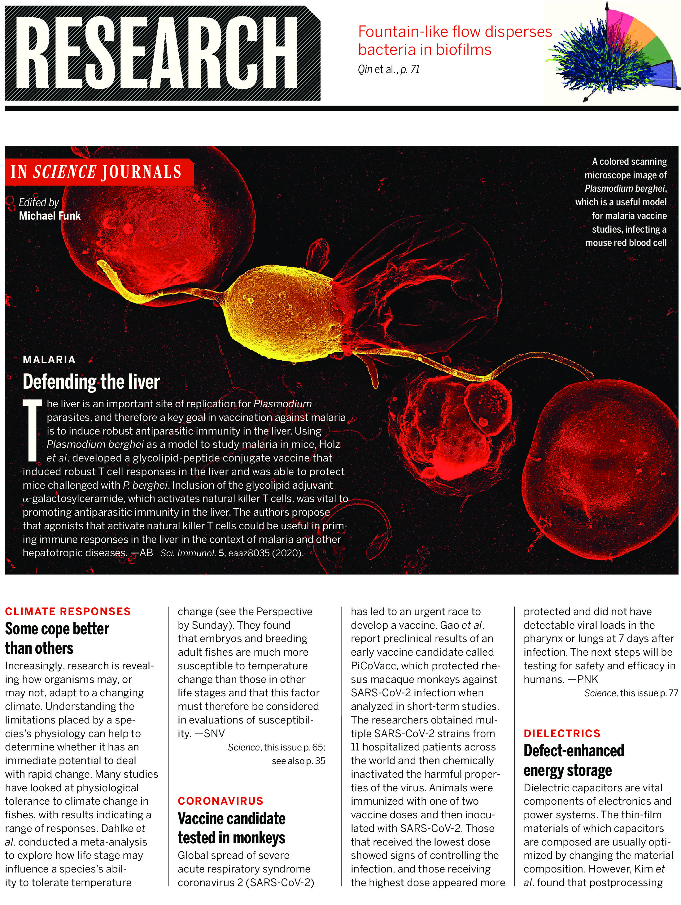 twis.full-page-0Research Highlights - Science Magazine - July 3 2020