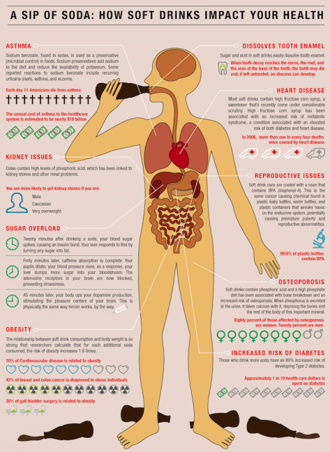 How Soda Affects the Body - Infographic