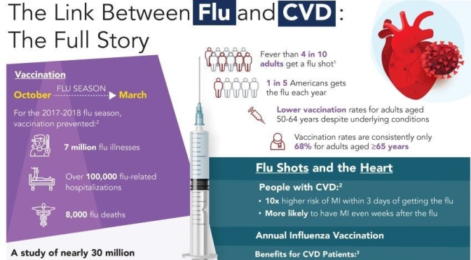 Infographic: ‘The Link Between Flu And CVD’