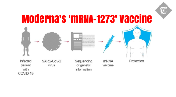 Covid-19 News: How ‘Moderna’s mRNA-1273 Vaccine’ Works (Video)