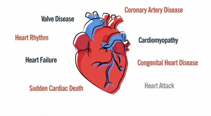 Heart Disease: Types & Risk Factors (Cleveland Clinic)