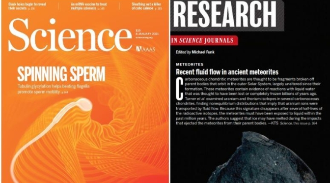 TOP JOURNALS: RESEARCH HIGHLIGHTS FROM SCIENCE MAGAZINE (JAN 8, 2021)