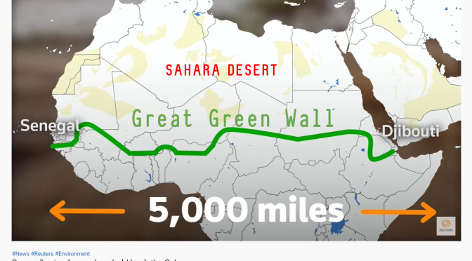 Sahara: Senegal Plants Circular Gardens To Prevent Desertification