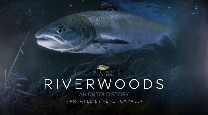Nature: ‘Riverwoods – An Untold Story’ (Video)