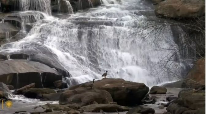 Waterfall Views: Reedy River In South Carolina