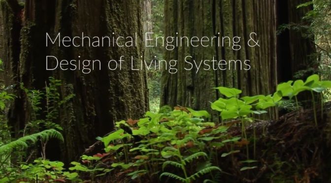 MIT Engineering: The Design Of Living Things