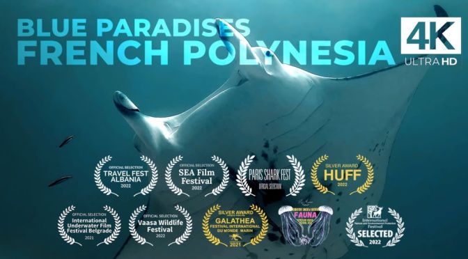 Views: The ‘Blue Paradises Of French Polynesia’ (4K)