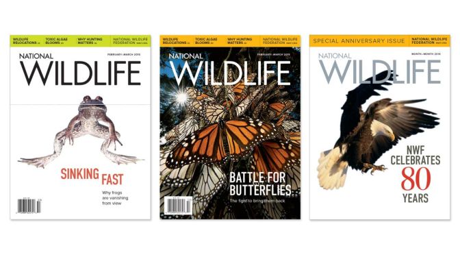 Cover: National Wildlife Magazine – Aug/Sep 2022