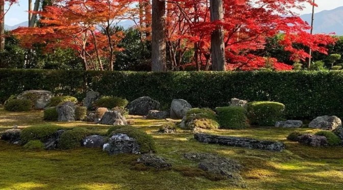 Japanese Views: Four Zen Gardens In Iwakura, Kyoto
