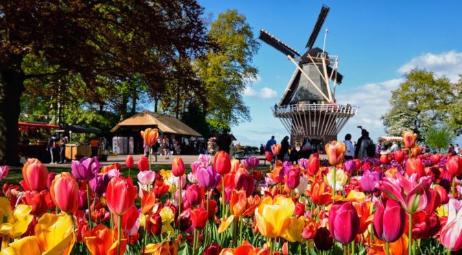 Netherlands Travel: The Tulip Barn And Keukenhof