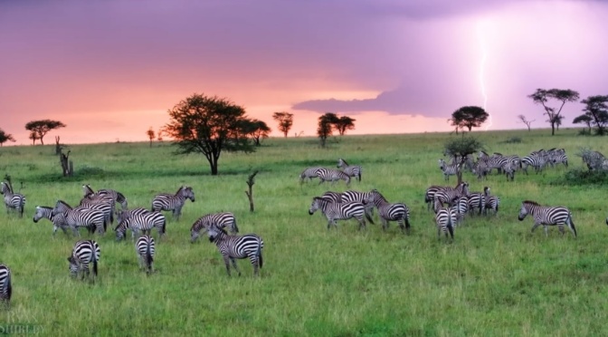 Travel Tours: The Top Ten Places To Visit In Tanzania