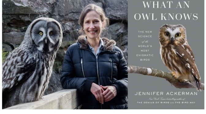 Book Reviews: ‘What An Owl Knows’ By Jennifer Ackerman (June 2023)