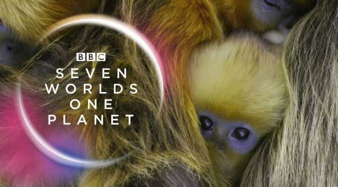 BBC Earth Wildlife Views: Sir David Attenborough Tours Seven Continents