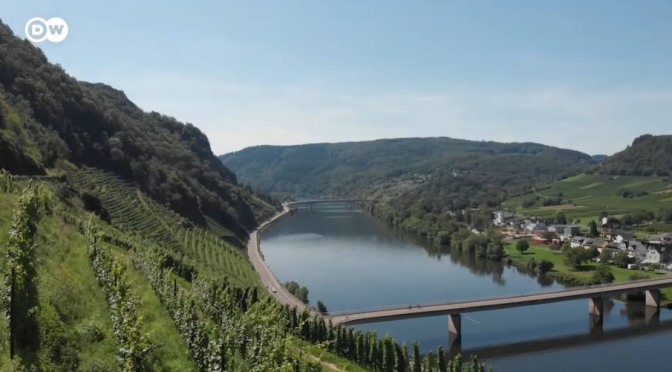 Vineyard Views: A Tasting Tour Of Wines In Germany