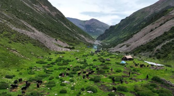 Travel & Culture: The Daily Life Of Nomads In Tibet