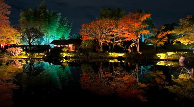 Japan Views: Showa Kinen Park Tokyo Autumn 2023 Illumination Night Walk