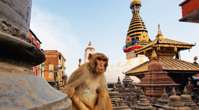 360° Views: Swambhuinath Monkey Temple In Nepal