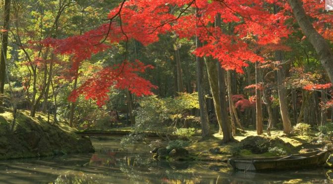Autumn Tours: Saiho-ji Moss Temple, Kyoto, Japan
