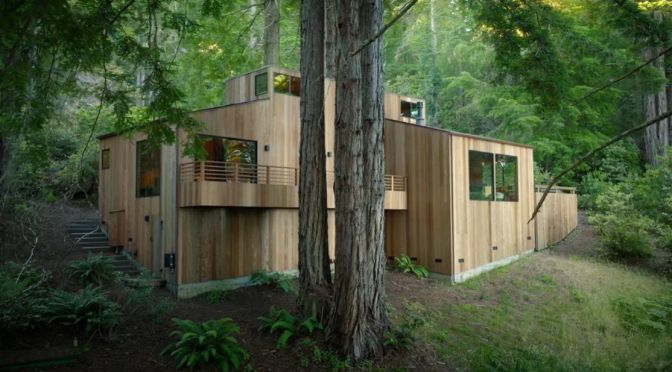California Cabin Design: Sea Ranch Forest Retreat